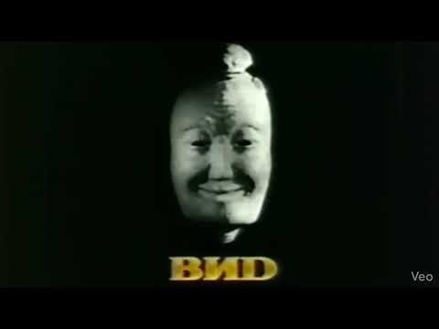 What If? Vid (BND) Mask Talks (42826D)