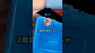 ガープ「2周目の世界じゃ。今度こそルフィを海兵にする」 #ワンピース