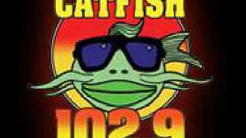 WNPT "102.9 Catfish Country" (Now WFMA "Air1") - Legal ID - 2006
