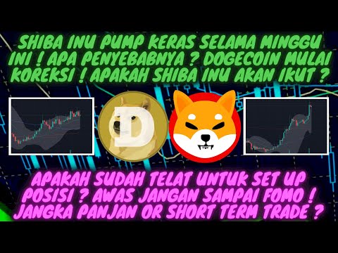 SHIBA INU & DOGE UPDATE ! APAKAH SUDAH TELAT UNTUK MASUK MARKET ? SKENARIO YANG HARUS DIANTISIPASI !