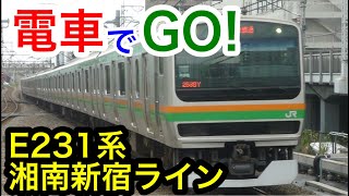 【電車でGO!】湘南新宿ライン 横浜→大宮 E231系普通