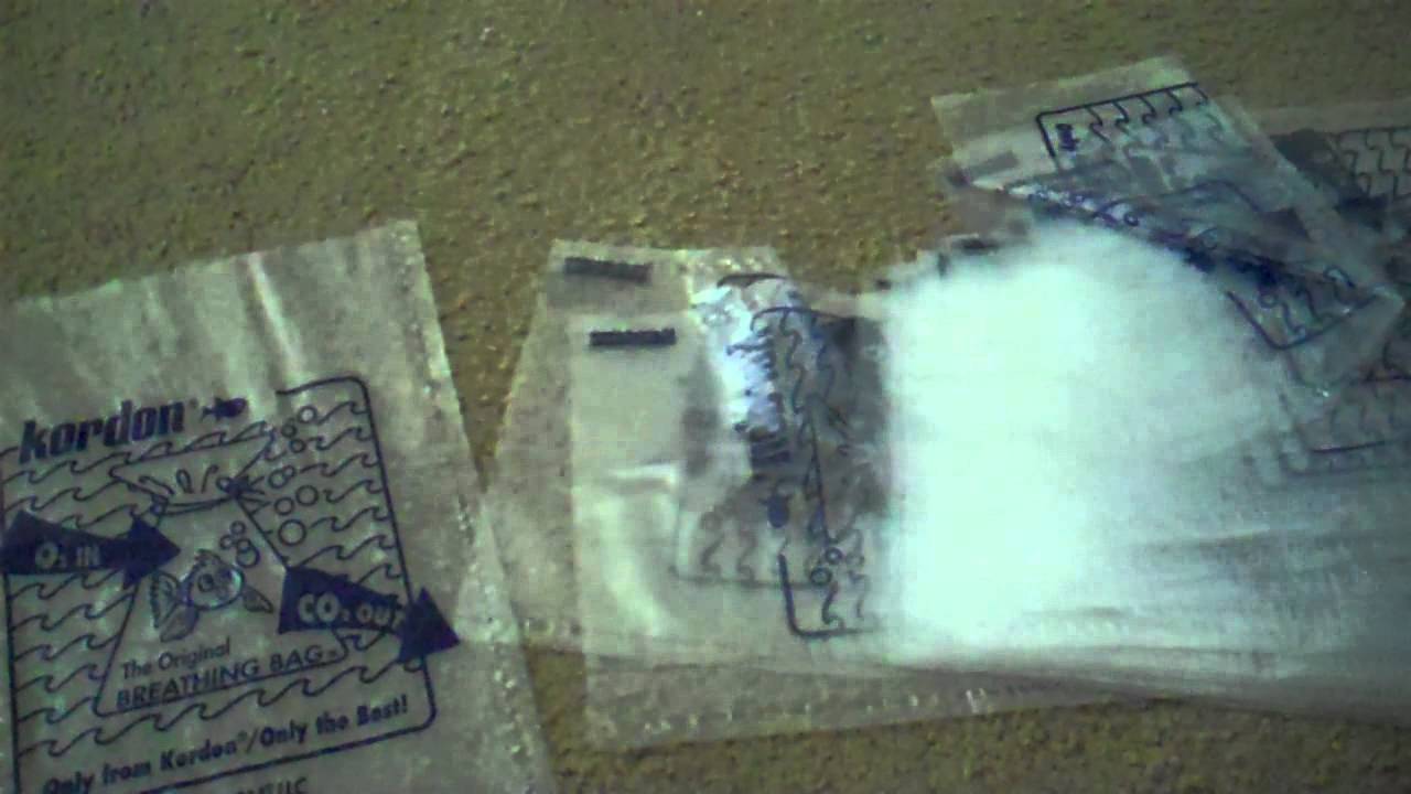 Kordon breather bags YouTube