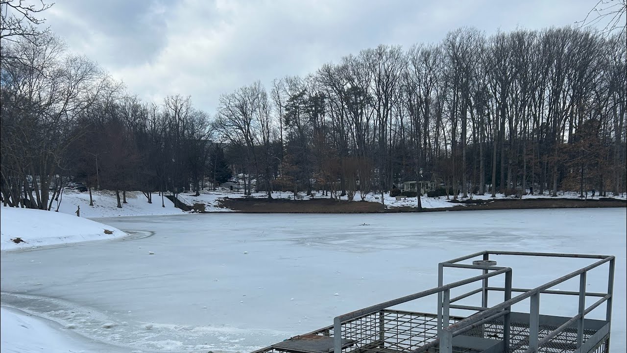 Study with me for 30 min session- Assignment deadline tonight 