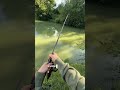 First night session…madness! 🎣 #fishing #carp #fishinglife #carpfishi...