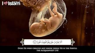 Menangis mendengar Surah Al-Mulk