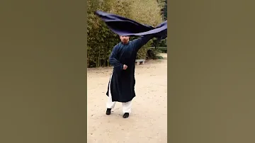 China Kongfu TaiChi Vs WingChun 