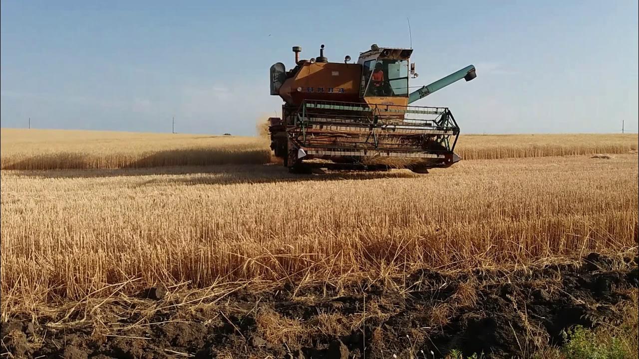 Нива комбайн в поле фото