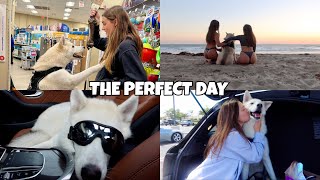 LETTING OUR DOG CONTROL OUR ENTIRE DAY
