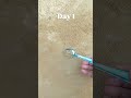 Insta tend video