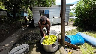 Cookout In The Village: The Breadfruit Feast🇫🇯