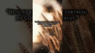 Psalm 912 Bible Verse Of The Day Nothing Can Take Us From Gods Protection