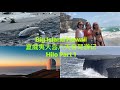 Big Island Hawaii Hilo Part 1 | 夏威夷大岛希洛篇 (上) | 绿沙滩和黑沙滩｜南岬悬崖跳水｜Volcano Park 火山公园｜Mauna Kea看日落