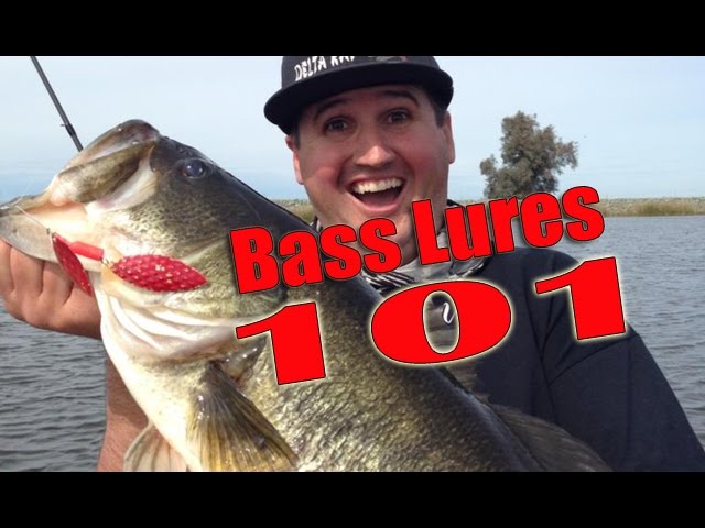 Bass Lures 101 