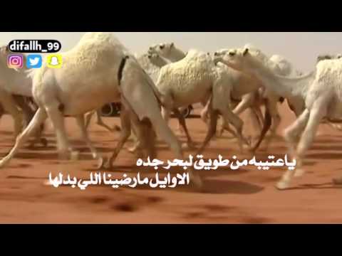 هل العليا اهداء لرجل الاعمال فهم الزباع اداء نياف تركي
