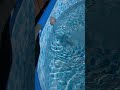 How To Heat Your Pool Using A Lazy Spa Pump Heater How To Heat Your Pool Using A Lazy Spa Pump Heater
