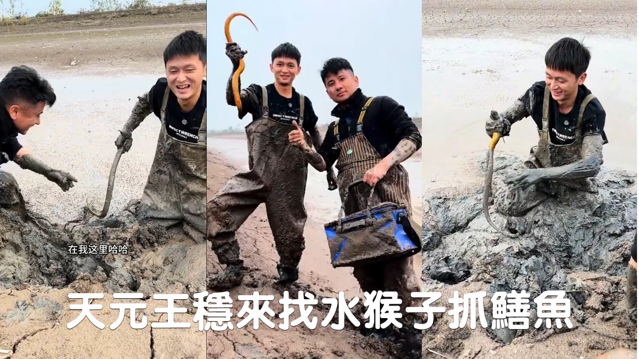 天元王稳来找水猴子抓鳝鱼盘老板，看看一个小时究竟能赚多少