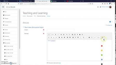 Moodle text editor