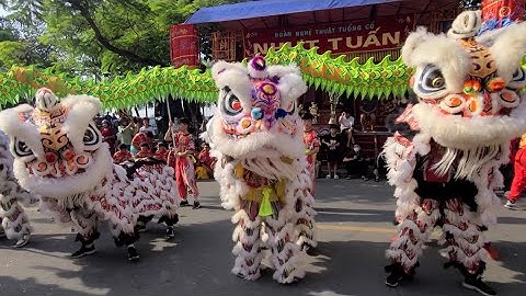 Nhân dịp Lễ Kỳ Yên Đình Tân Lân các đoàn Lân Sư Rồng đến biểu diễn - Múa Lân 2025 (Phần 1)