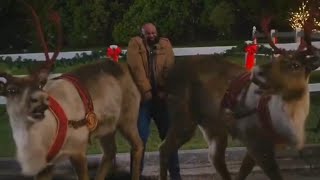 Disney Dashing Through The Snow: Reindeer Butt Sandwich