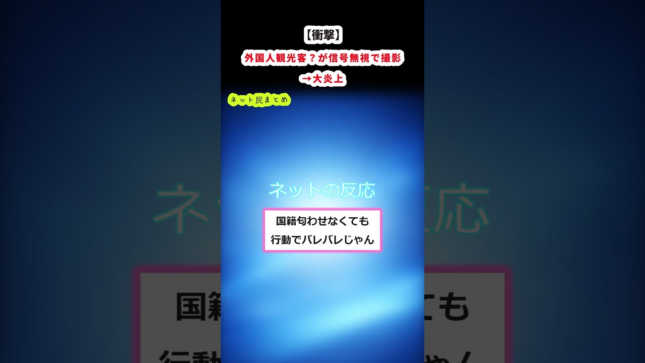 外国人観光客？が信号無視で撮影→大炎上