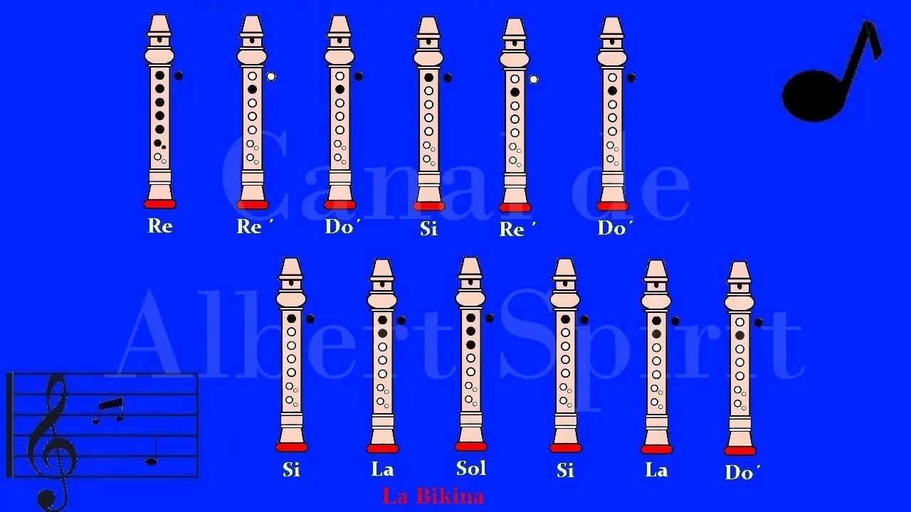 Notas De La Bikina En Flauta