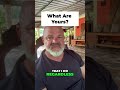 3 Simple Habits That Changed My Life