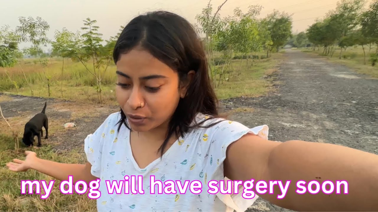 spaying-my-labrador-is-it-harmful-or-healthy-talking-about-the