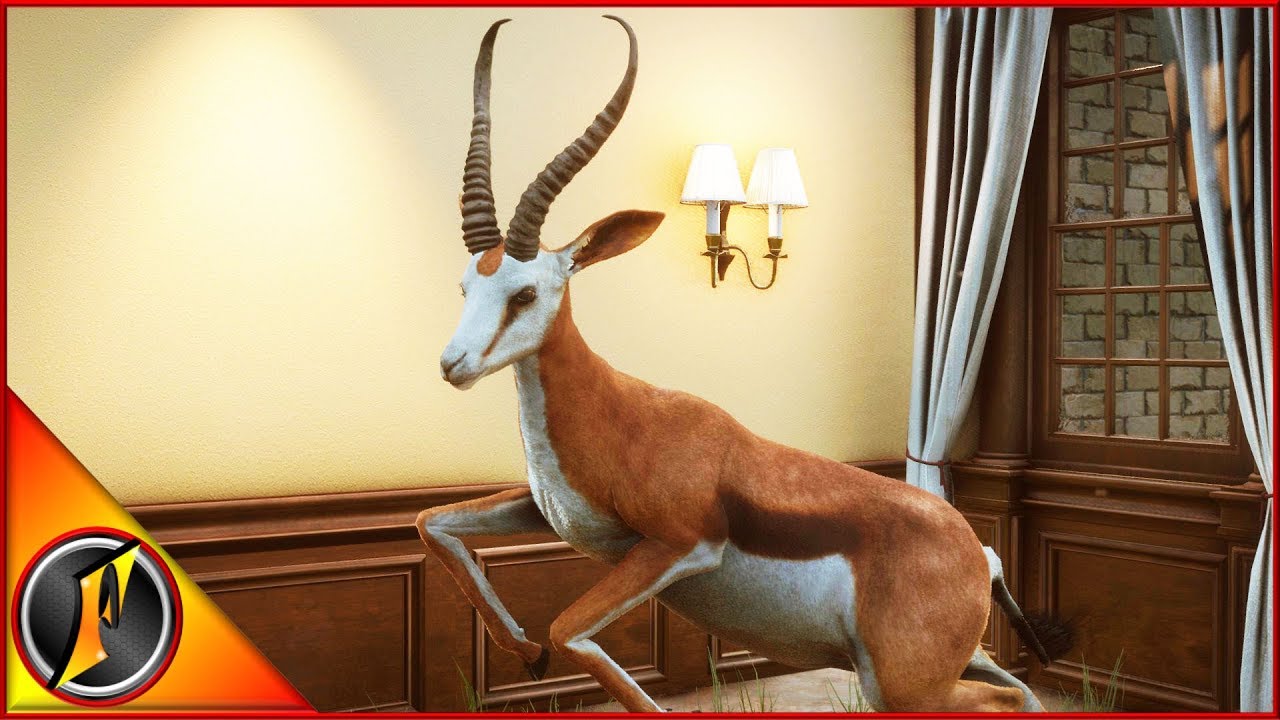 Going Back To Multiplayer For A Diamond Hunt YouTube going-back-to-multiplayer-for-a-diamond-hunt-youtube