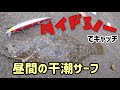 昼間の干潮サーフをミノーで攻略！&ヒラメの外道達