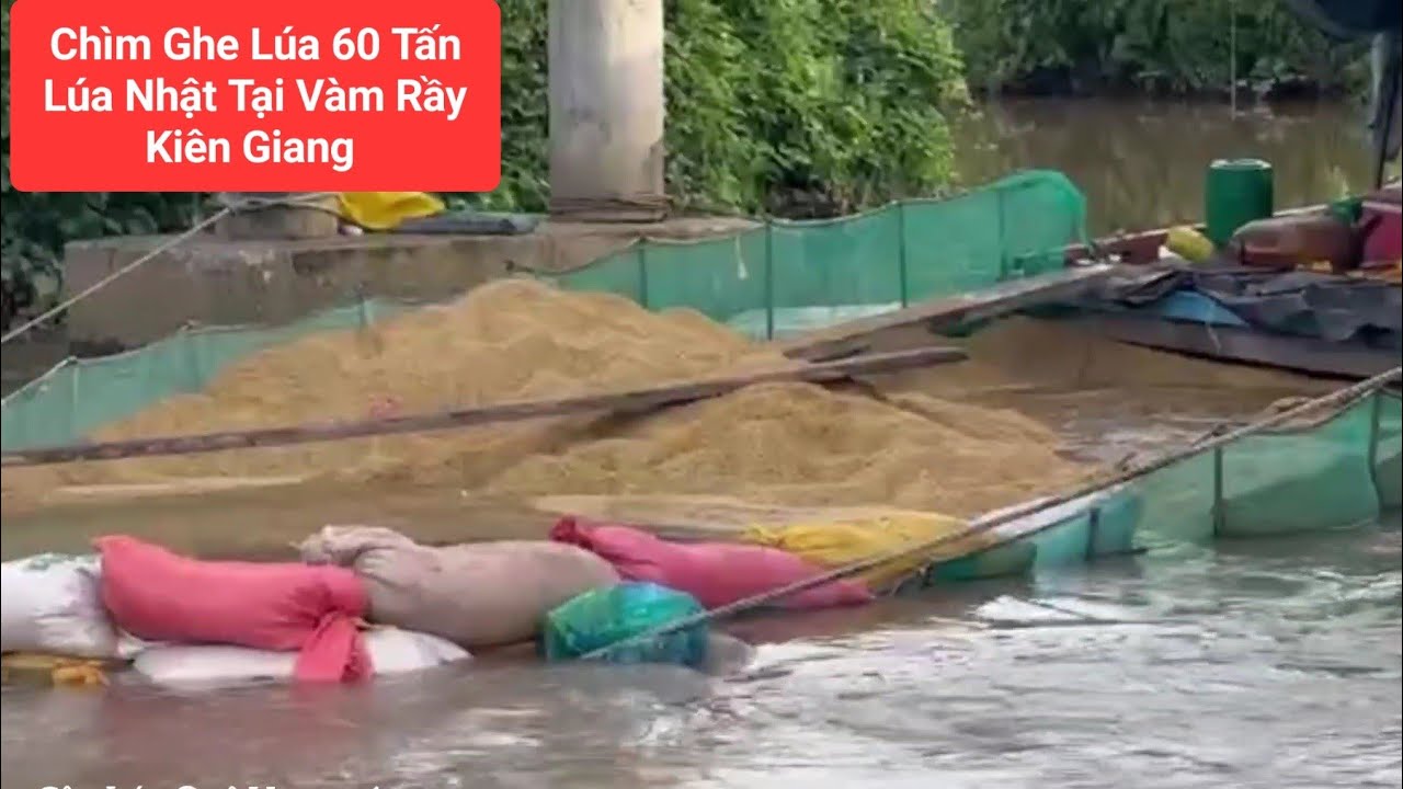 Chìm Ghe Lúa 60 Tấn Lúa Nhật Tại Kiên Giang - YouTube