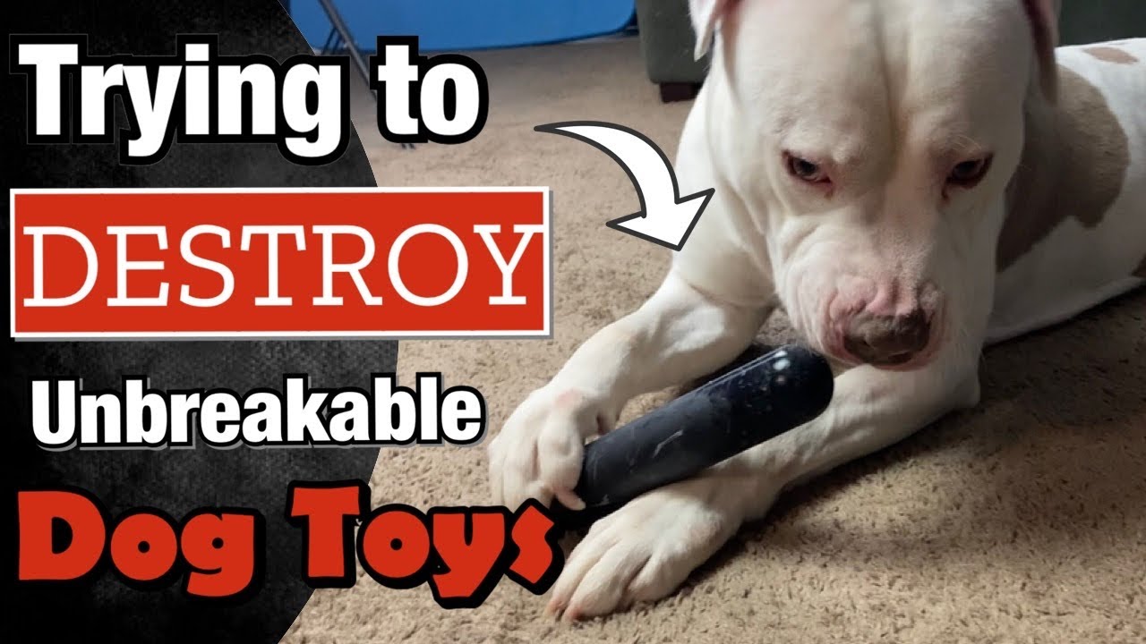 Indestructible Dog Chew Toys