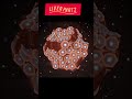 liver part 2# liver of the human body#liver#anatomy#shorts