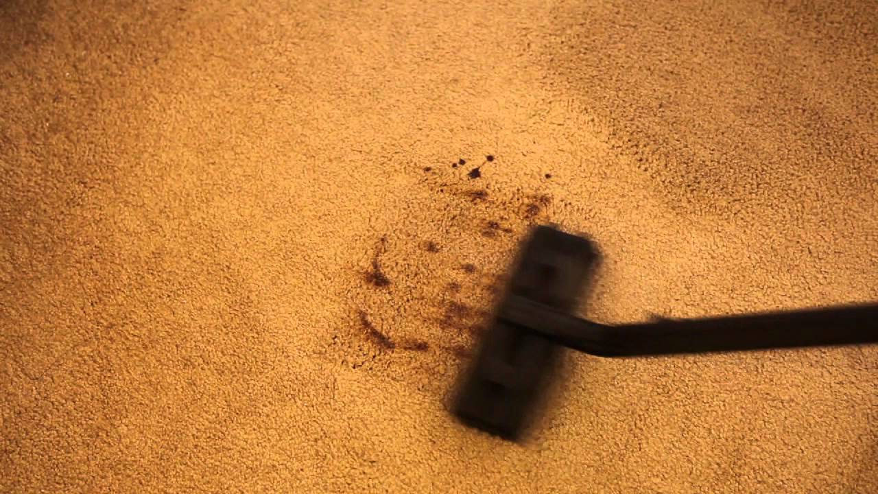 How to Steam Clean Carpet Stain and Spot Daimer KleenJet Pro Plus
