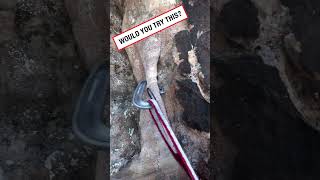 Would you try this rock climbing? 🧗 (🎥: BViral)