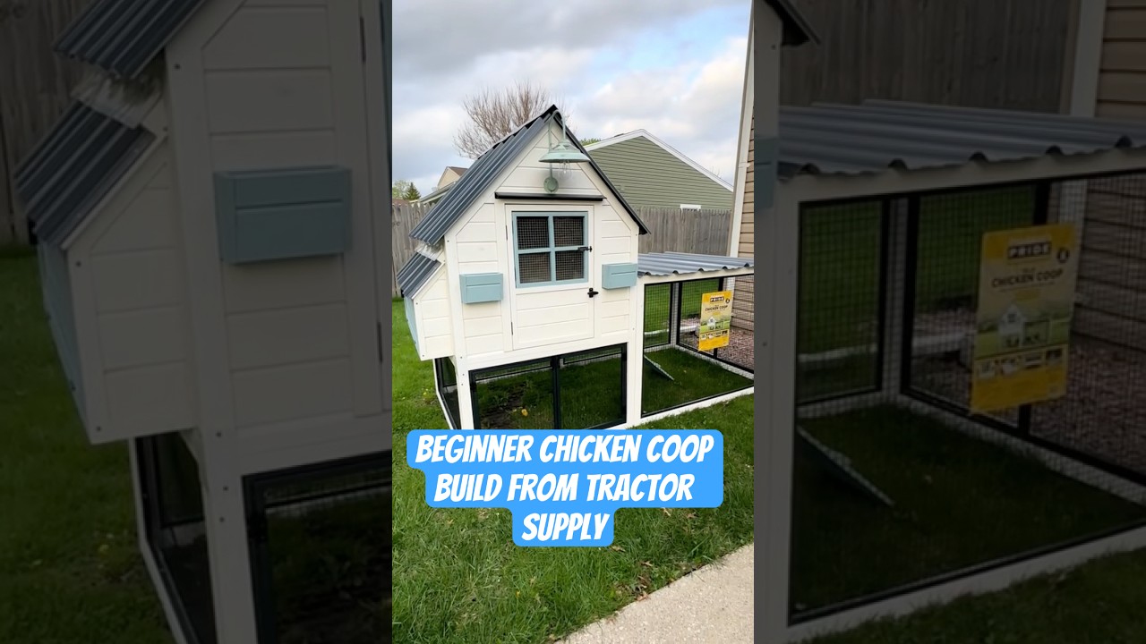 Tractor Supply Chicken Coop Build | Backyard Chickens for Beginners 