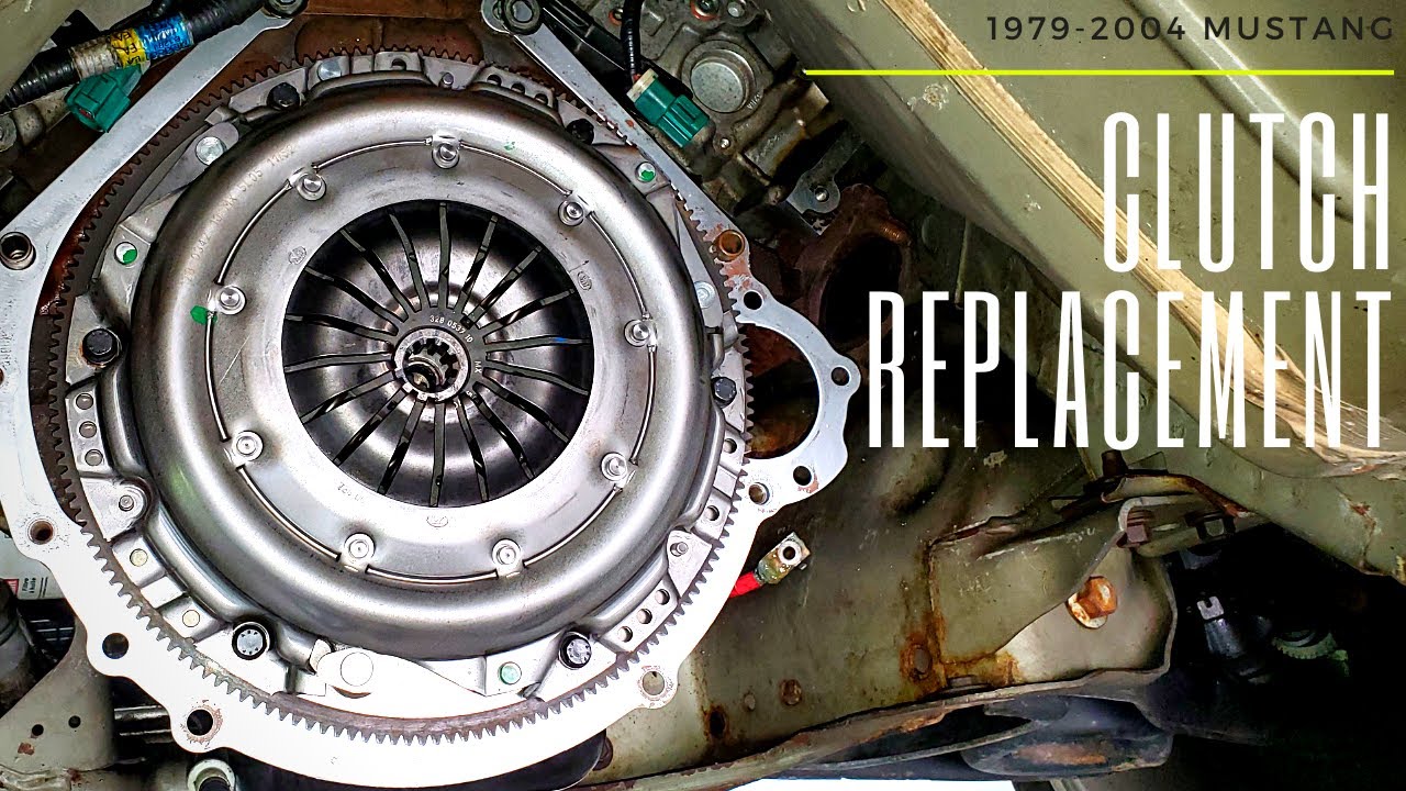2000 Mustang Clutch Replacement Cecil tamimi 2000-mustang-clutch-replacement-cecil-tamimi