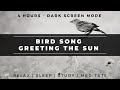 4 Hours Dark Screen | Bird Song In the Morning | Deep Sleep Soundscape