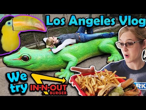 A "Reptile-Themed" Los Angeles Adventure! - Go IT