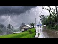 Heavy rain hits rural Indonesia||Ambiance perfect for insomnia||Sleep in 5 minutes