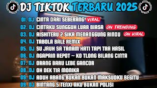 DJ TIKTOK TERBARU 2O25 l DJ CINTA DARI SEBERANG 🎵 DJ CINTAKU SUNGGUH LUAR BIASA 🎵 FULL ALBUM 