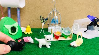 DIY Miniature Cat Accessories for Barbie Doll - tutorial