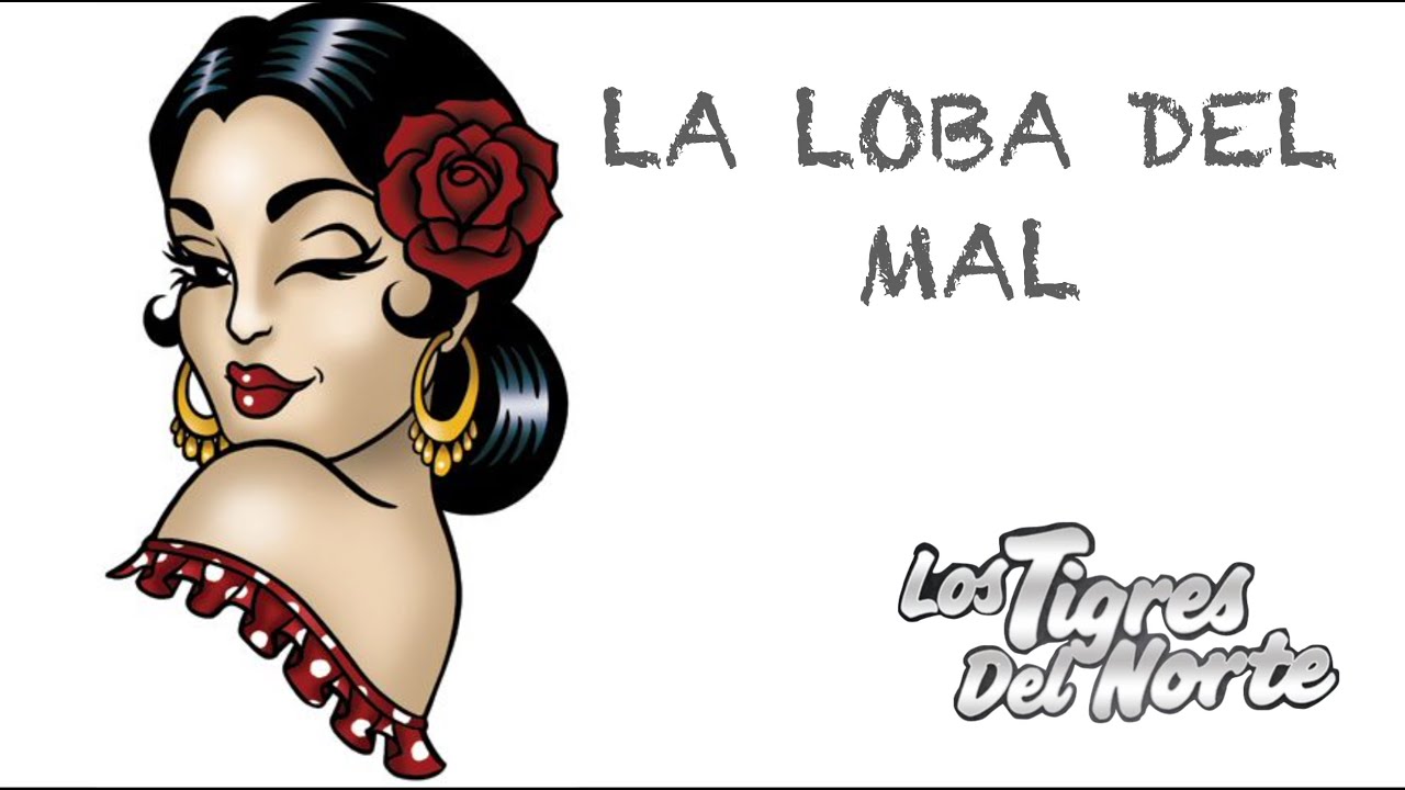 Los Tigres Del Norte - LA LOBA DEL MAL #lostigresdelnorte #inédito - YouTube