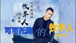 《可可托海的牧羊人-王琪》完整版 1个小时反复听 ！不知唱哭了多少人【带歌词】【单曲循环】