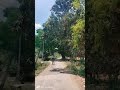 jo mere rooh ko chain de pyar de o khusee ban gye ho tum