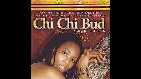 Chi Chi Bud Riddim mix  2007  [Joe Frasier Label] mix by djeasy