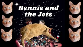 Elton John Cover Duet | Bennie the Cat and the Jets