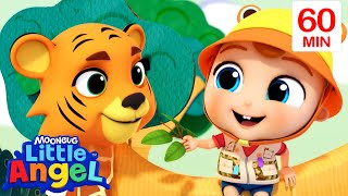 Playing with Silly Animals! | Little Angel | Animals for Kids | Funny Cartoons | Learn about Animals