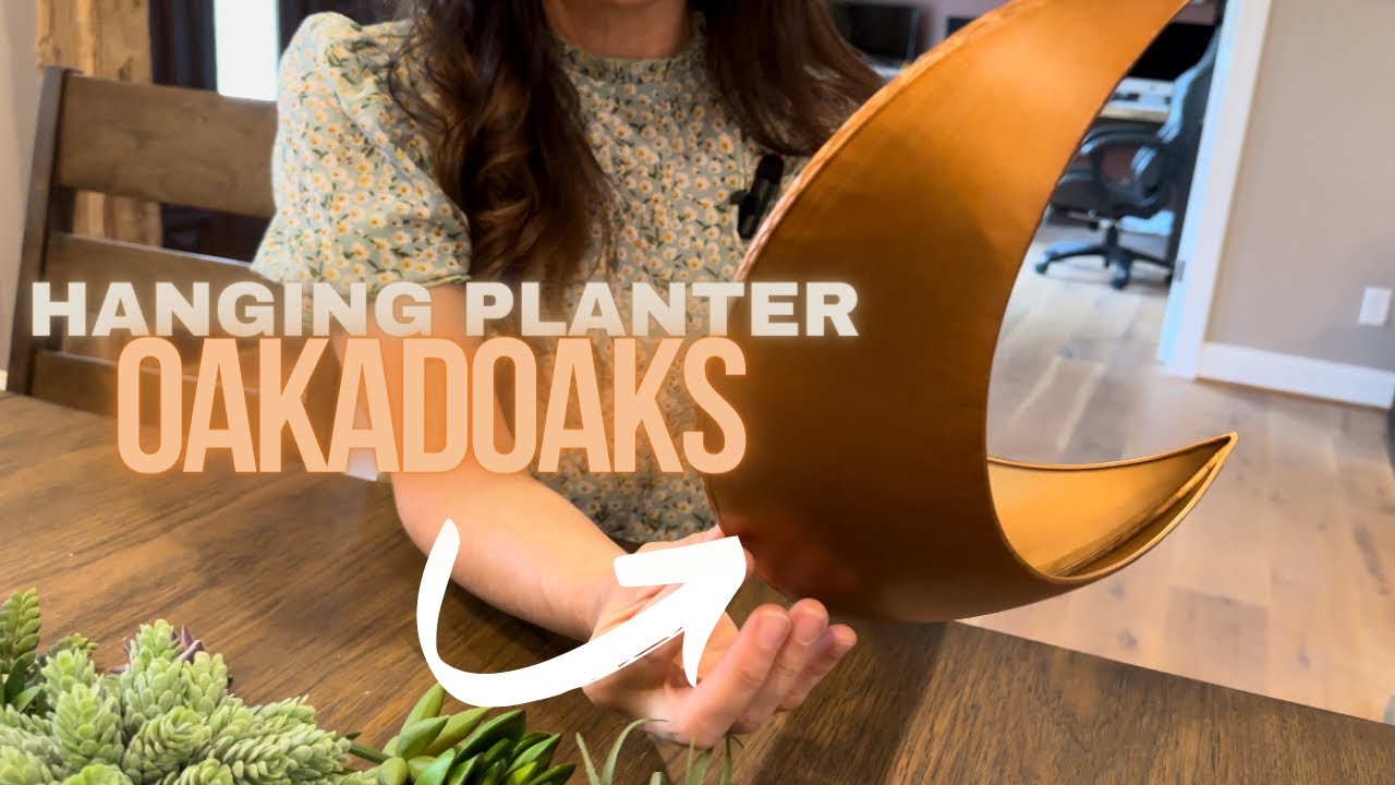 Oakadoaks Hanging Moon Planter from Amazon! - YouTube
