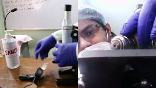 | How to see specimen using compound microscope | Viewing Specimens Using The Compound Microscope