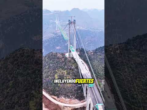 🌉 La Nueva